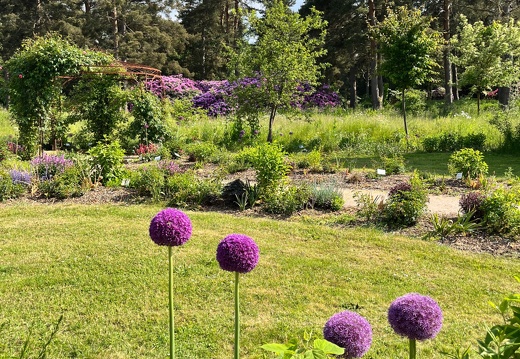 23-06-03 16-32-16 5779